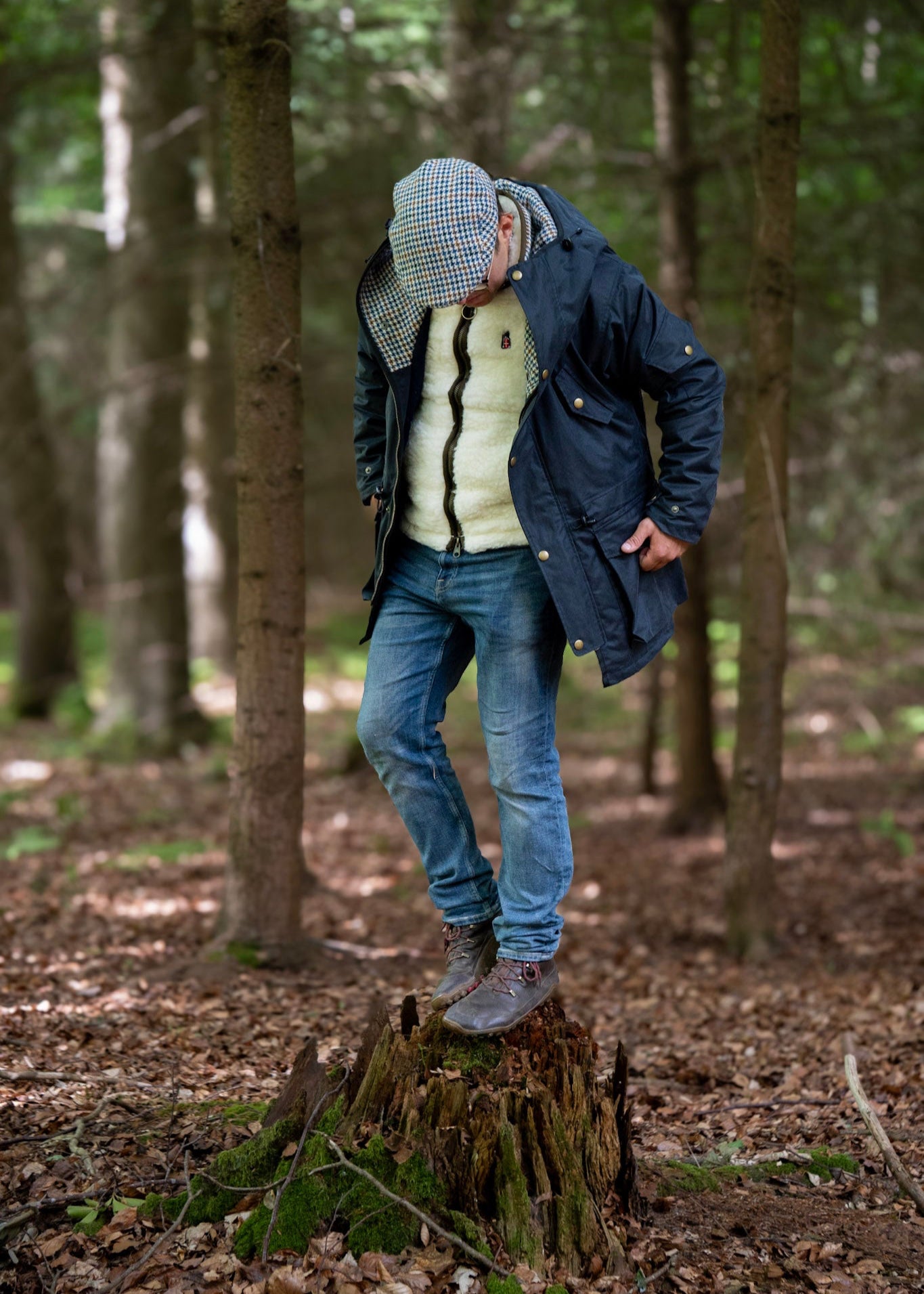 Person standing on a tree stump in a forest